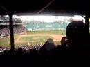 Celebrating a Kevin Youkilis home run