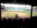 Celebrating a Kevin Youkilis home run