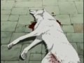 Wolf's Rain Wake Up