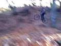 videos de tit saut