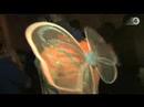 Butterfly effect im spindler & Klatt berlin