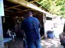 paintball 61 4aout