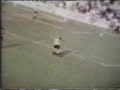 hercules cf: ascenso a 1ª en el sadar  1974 