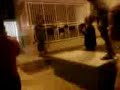 PELA EN CHAVIER