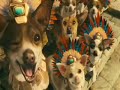 beverly-hills-chihuahua-2008-official-theatrical-trailer.html
