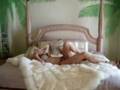 Clara Private Dance In Paradise And Heaven House Music