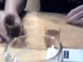 Forte?? Trago