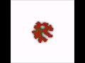 Cell-based simulation of blood-vessel growth - Movie S4