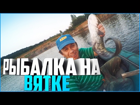 как будет клевать рыба река вятка как будет клевать рыба река вятка