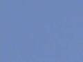 thebirdtrail.wmv