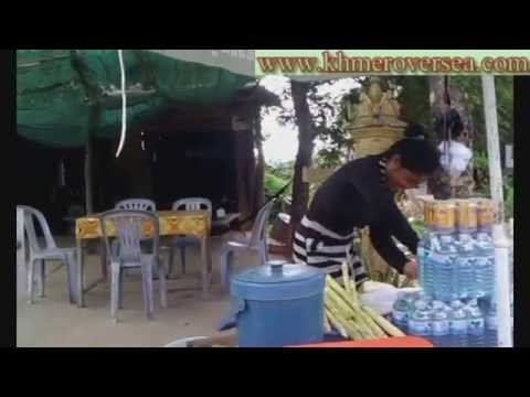 how to fertilize a monkey nut tree