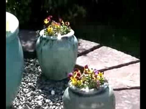 Hoggywart -
