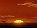 Simba & Nala ( I Knew I Loved You )