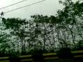 videos de Baguio Marcos Highway