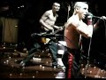 teledysk, klip, Red Hot Chili Peppers,- Me And My Friends