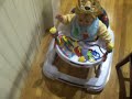 Ander in walker in kitchen (7 months old)