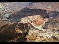 Masada date tree resurrected from 2,000 year-old seed