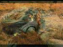 Video Comparsa Animales Video Comparsa Animales