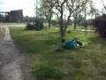 videos de Caiidas,