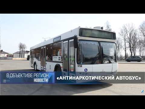 В объективе регион 01 апреля 2026.