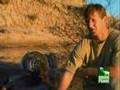 Man-Steals-Deer-Meat