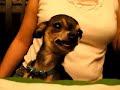 PSYCHO CHIWAWA