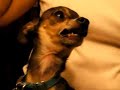 PSYCHO CHIWAWA