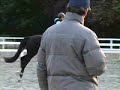 Wendy Hacking