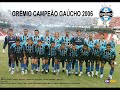HINO GREMIO