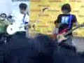 colchon     miel en directo