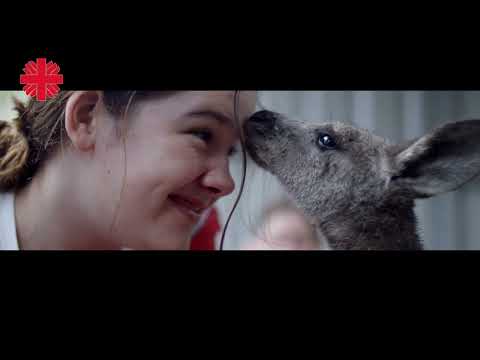 Caritas Việt Nam: Hành trình Thứ Bảy Xanh