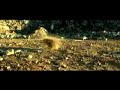 La Celula Durmiente - The Role And The Rule