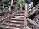 Don Vs Wild Don Vs Wild