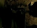 dime que te paso wisin   yandel official video