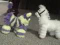 puppet playhouse~PART THREE~