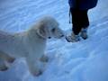 videos de River chasing his girlfriend