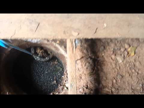 how to unclog septic tank inlet
