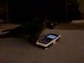 cell-phone-makes-gre