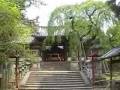 videos de Himuro Shrine Nara