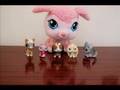 Littlest Pet Shop - The Dance