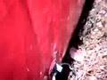 Game 6 Guncam Dixie Cup