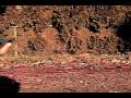 montagecopyrightfreemusic-Jessie McFadyen.mov
