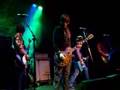 The SnakeSkin Cowboys - Shake Some Action