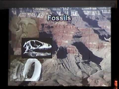 Fossils: History in Contention