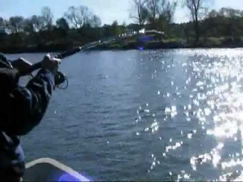Wielki sum z Odry (Big Game catfish).wmv
