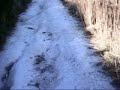 Trialera el garrobo parte 3