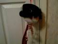 videos de Jiggling Shaking Musical Singing Snowman