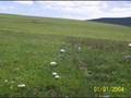 Ardahan �yldyr �nc�l K�y� Resimler 2..