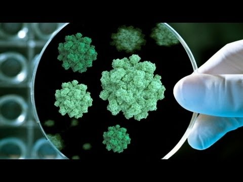 how to avoid norovirus