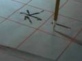 水 water in Chinese calligraphy Kai Shu & Li Shu